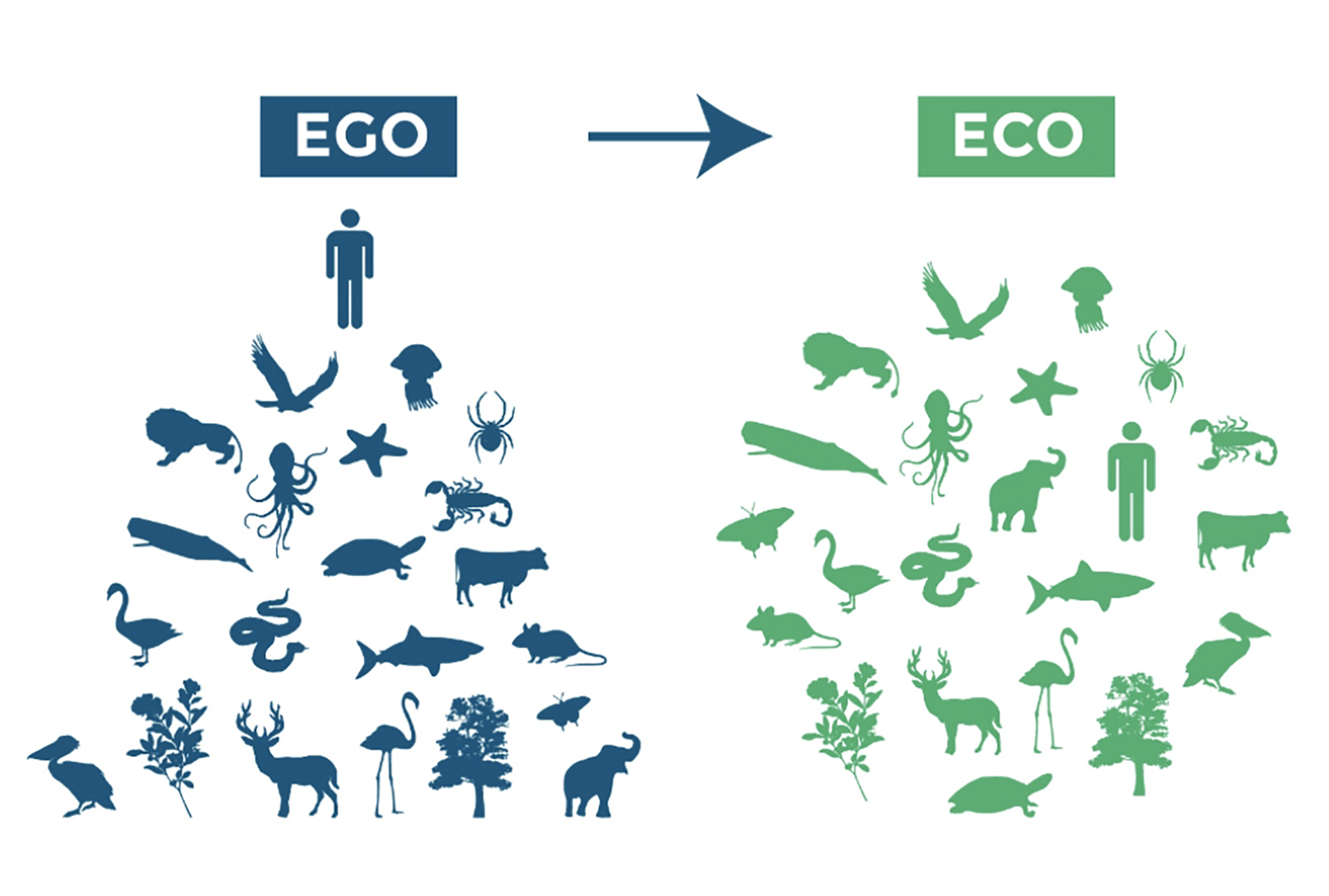 ego-eco